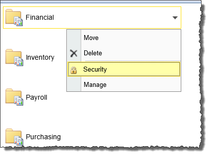 SSRS Setting Security